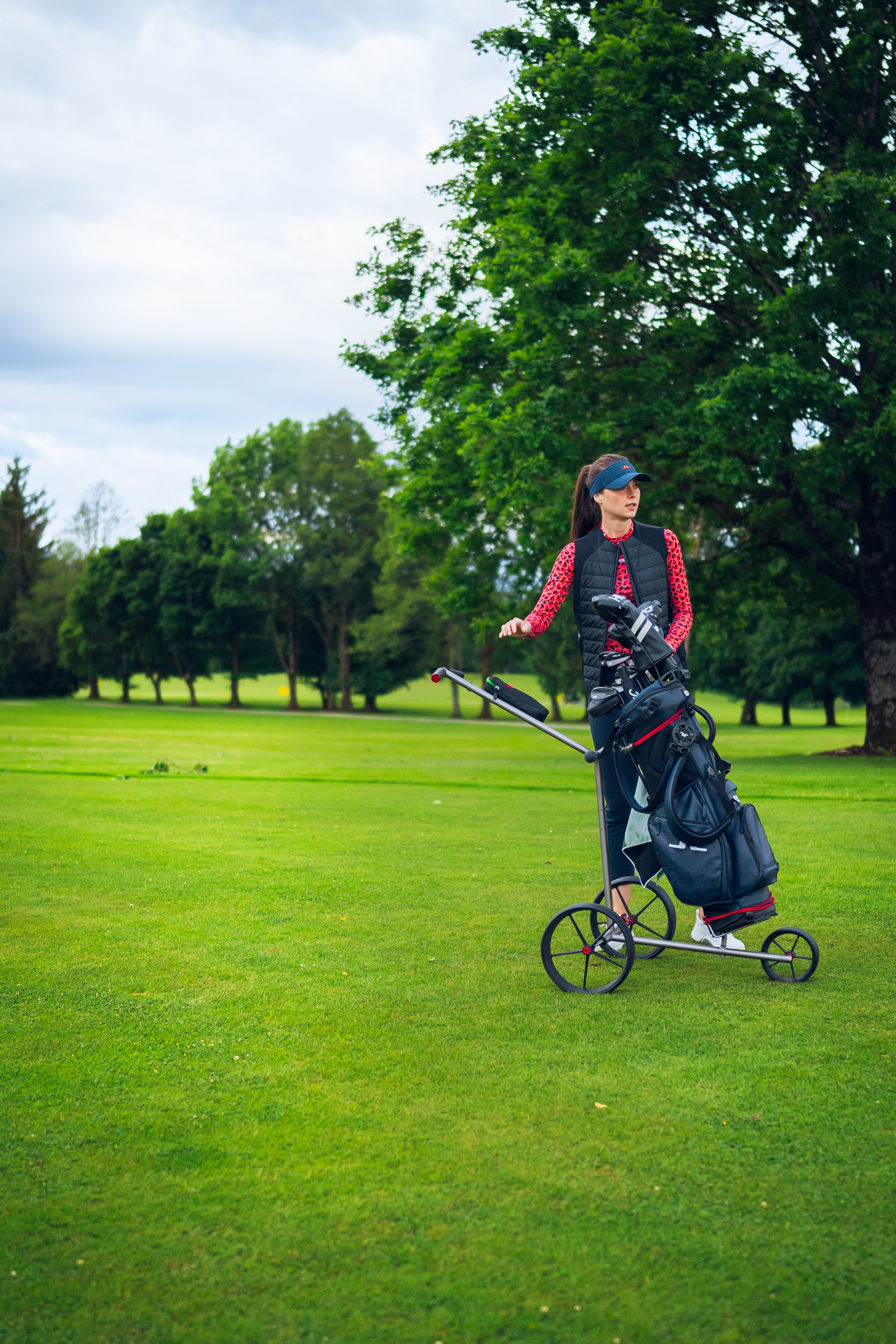 TiCad Golf-Trolley Newsletter